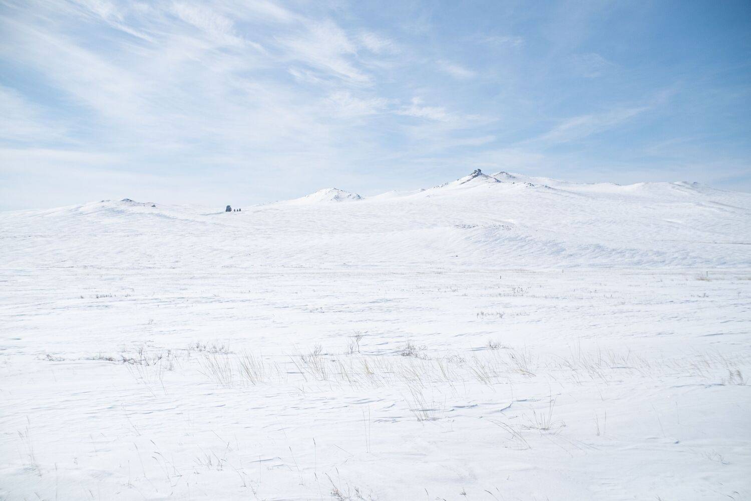 Фотография #7138883