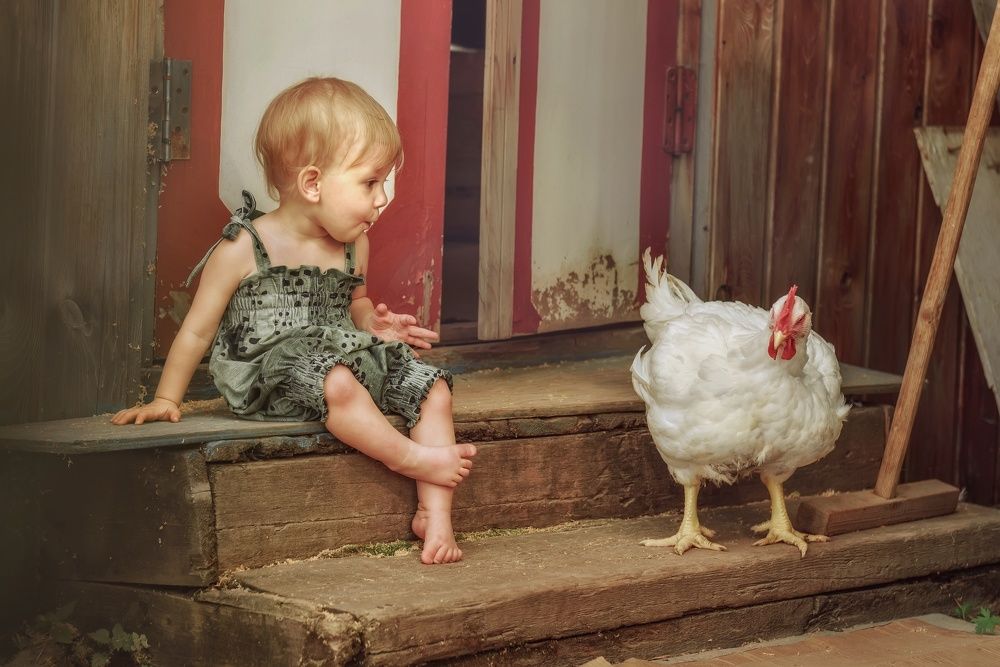 Photograph by Татьяна Маклакова