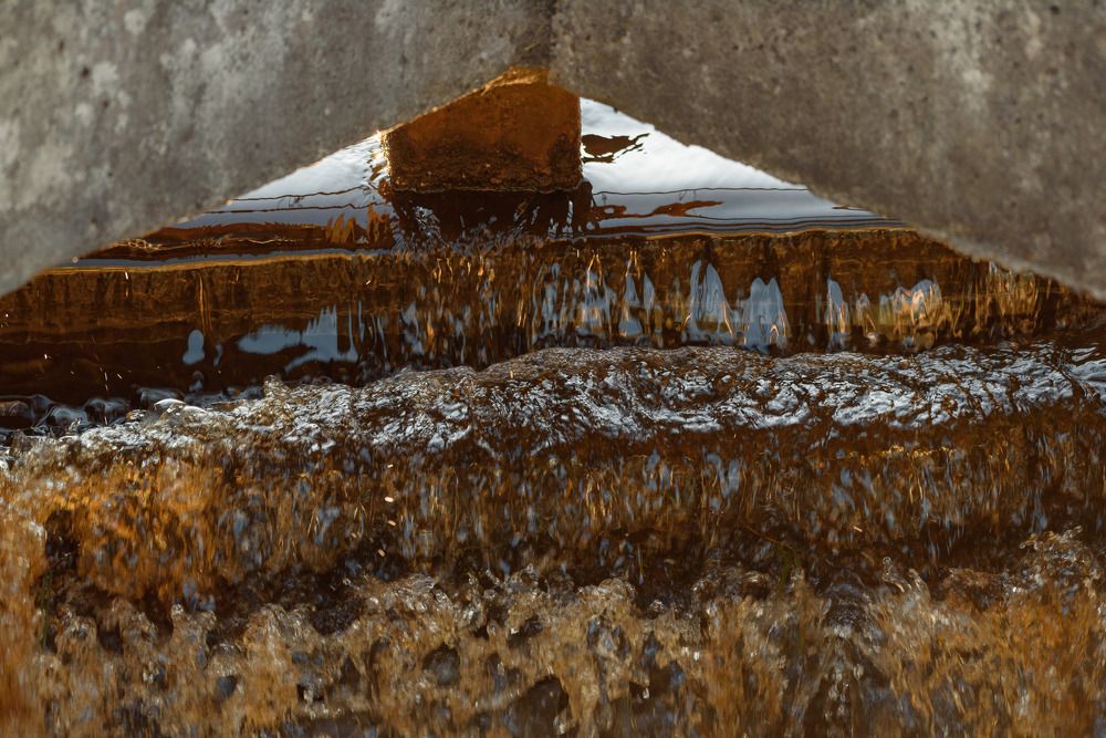 Photograph by Михаил Гулика