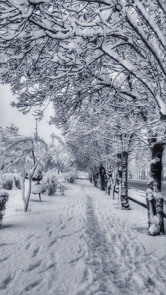 Photograph by Sherko Bahmani