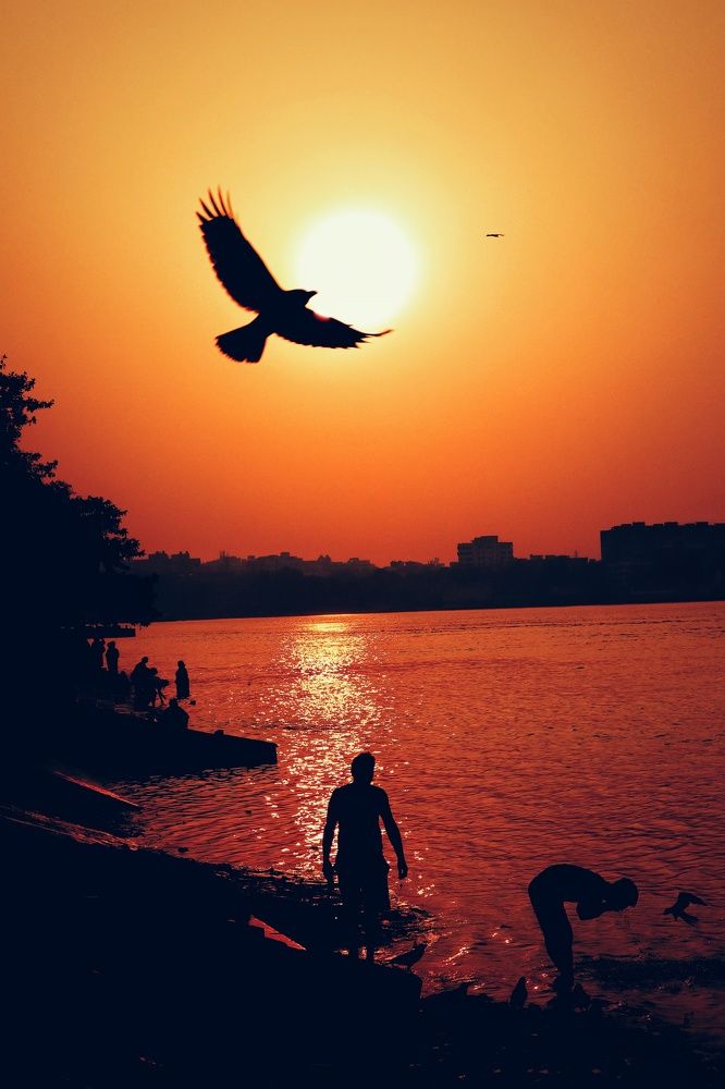 Photograph by Saptarshi Goswami