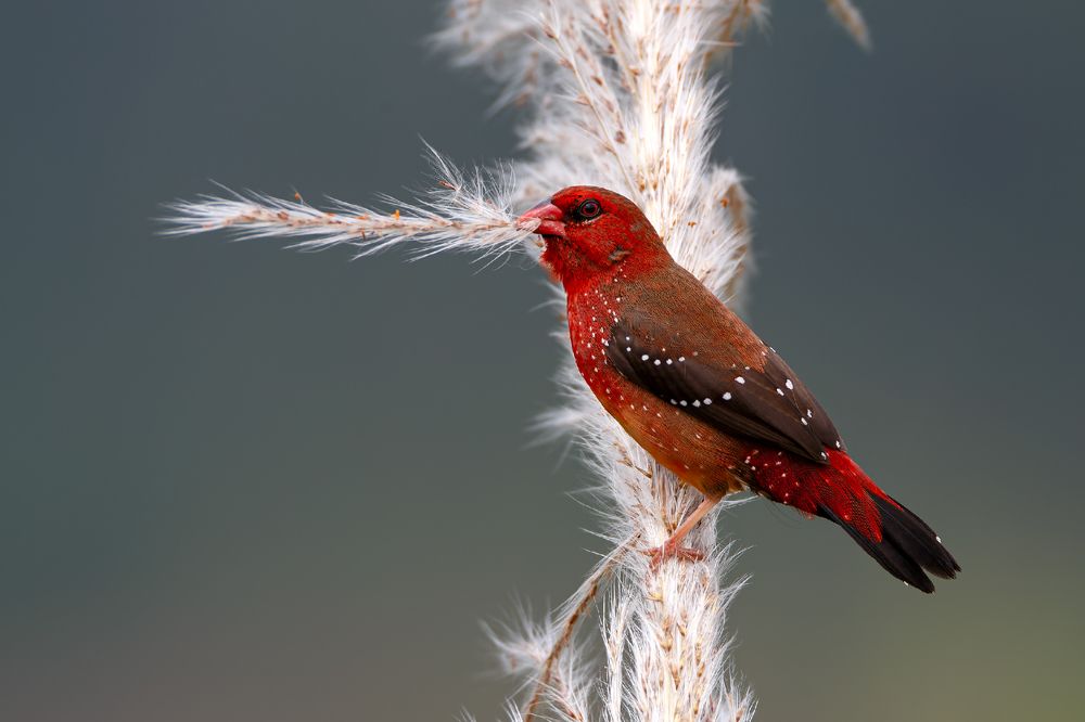 Photograph by Liu YuDong