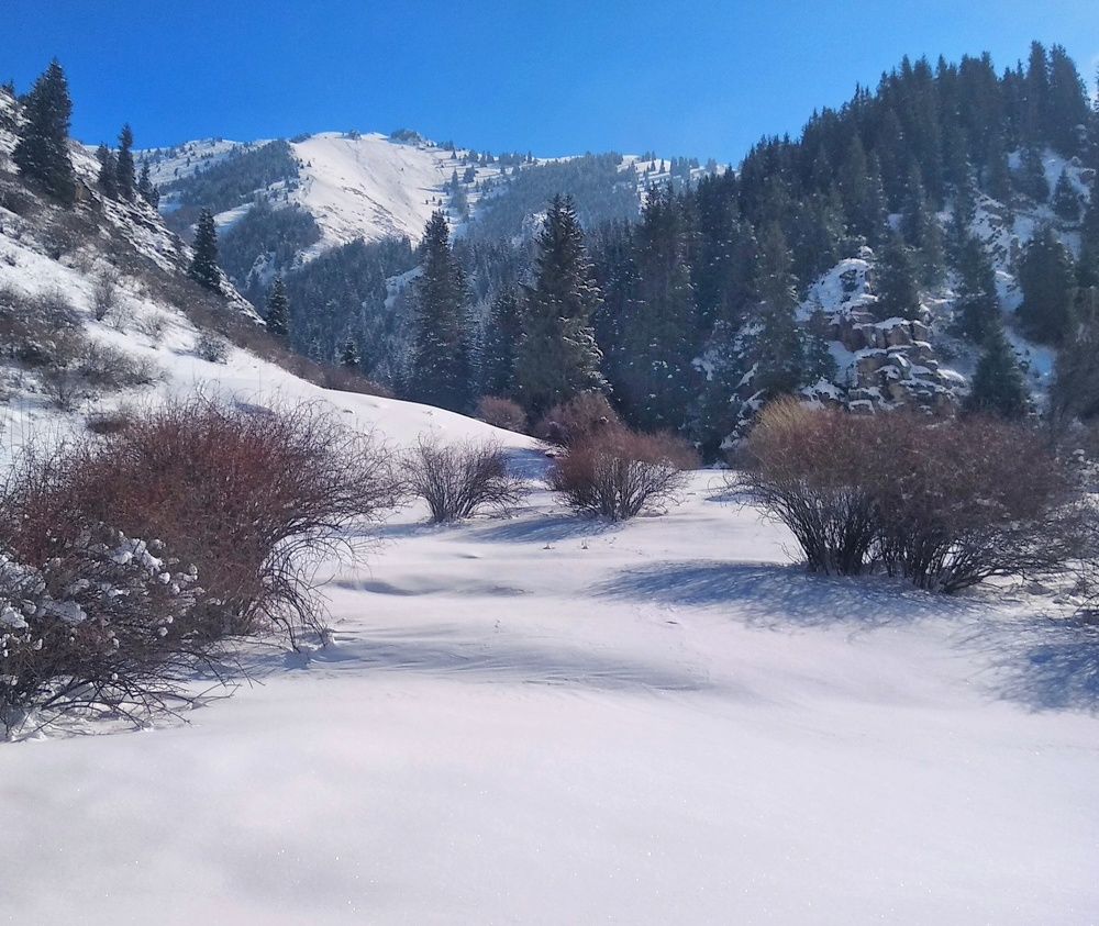 Photograph by Орынбек Асилбаев