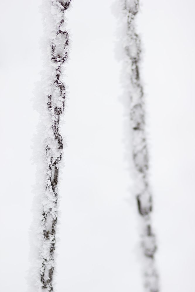 Photograph by Елена Галкина