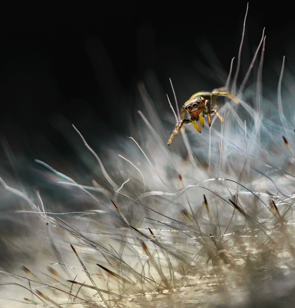 По нехоженым тропам