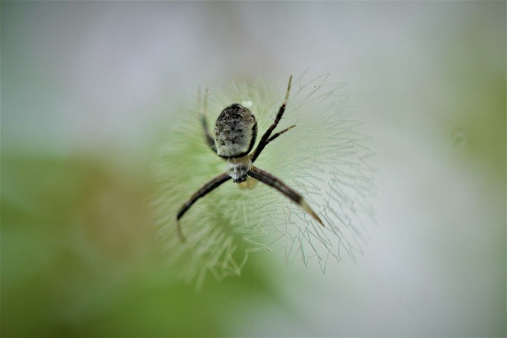 At times, life is just like a web.