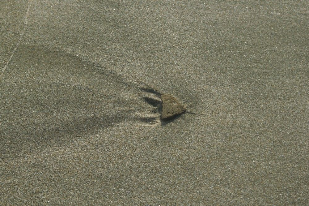 Photograph by yvan teule