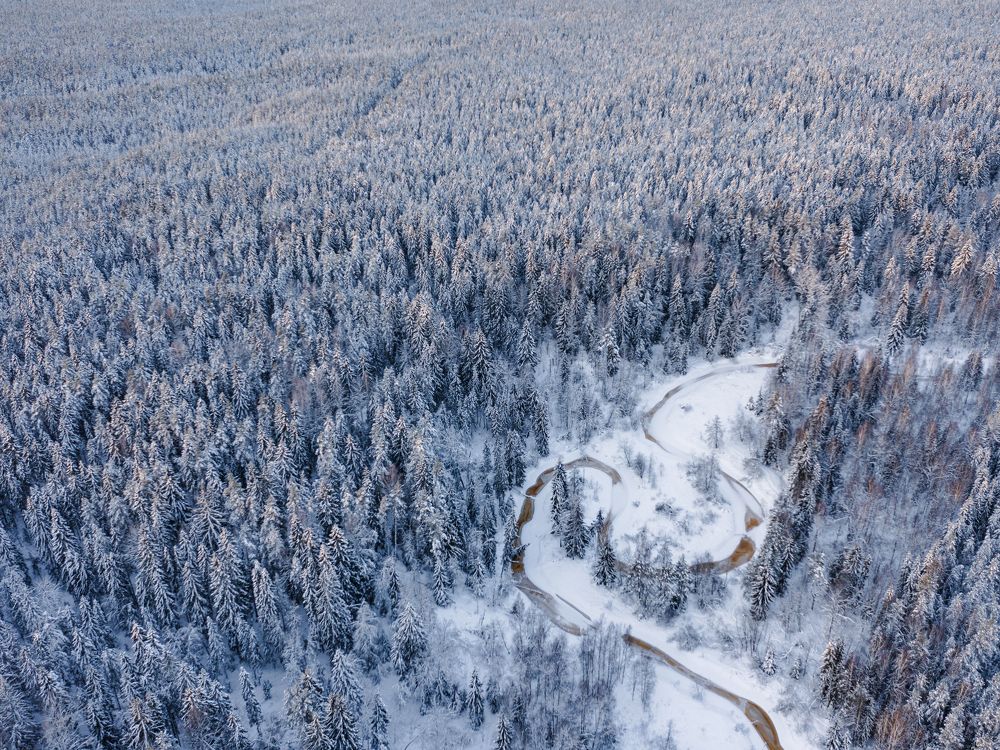 Photograph by Иван Кудряшов