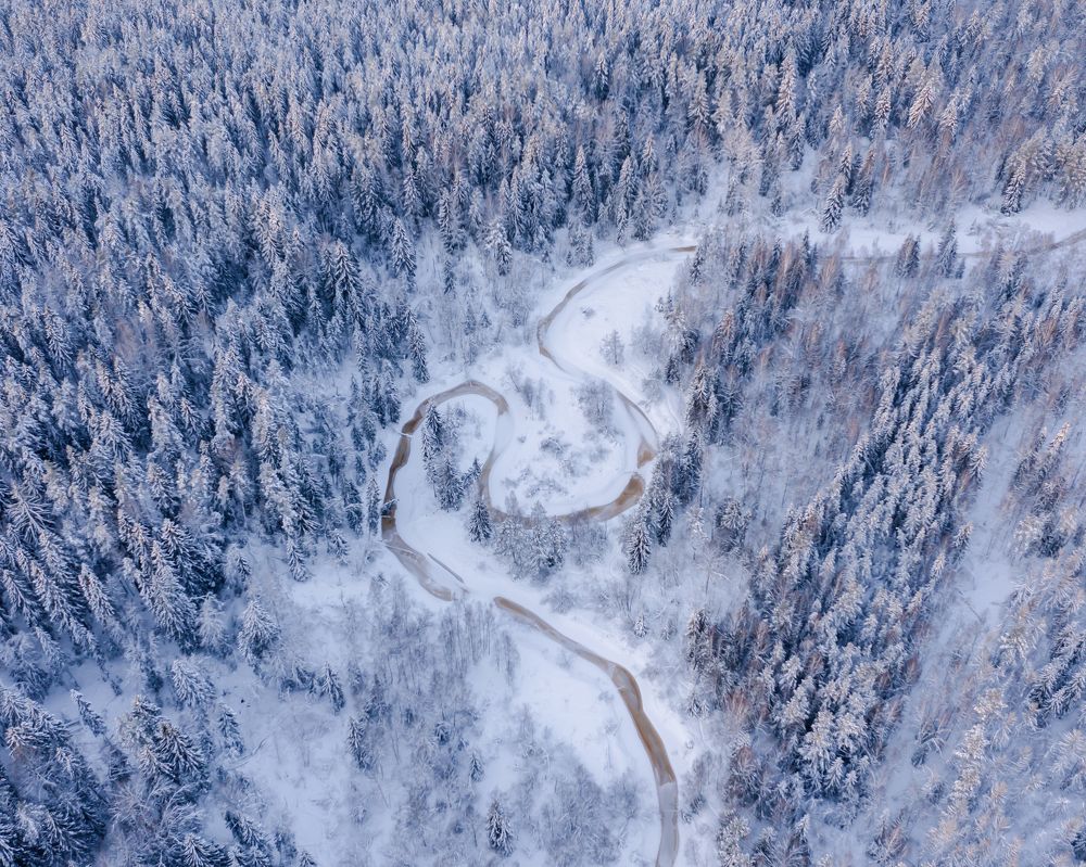 Photograph by Иван Кудряшов