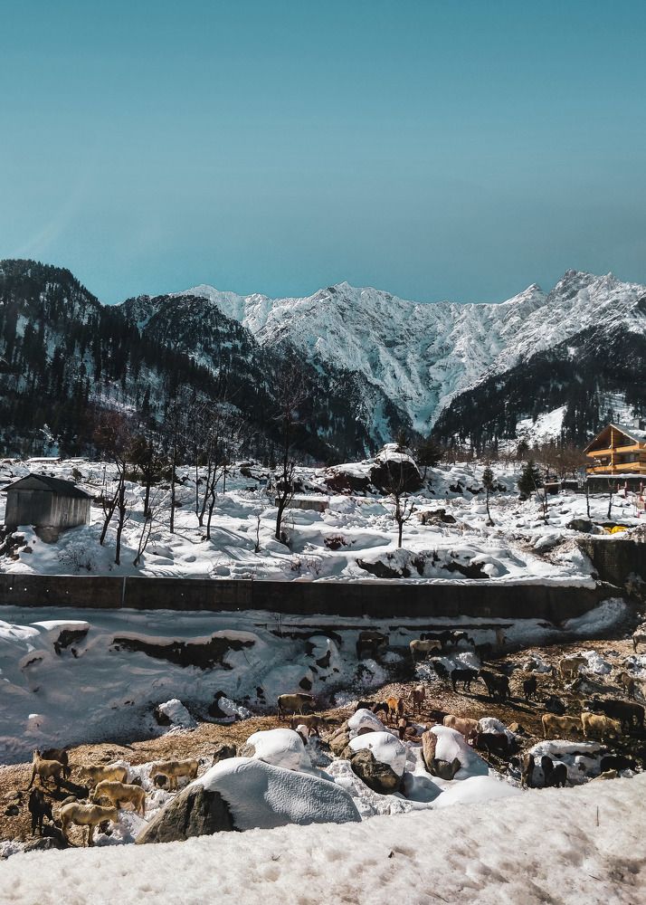 Photograph by Kanishka Jeewantha