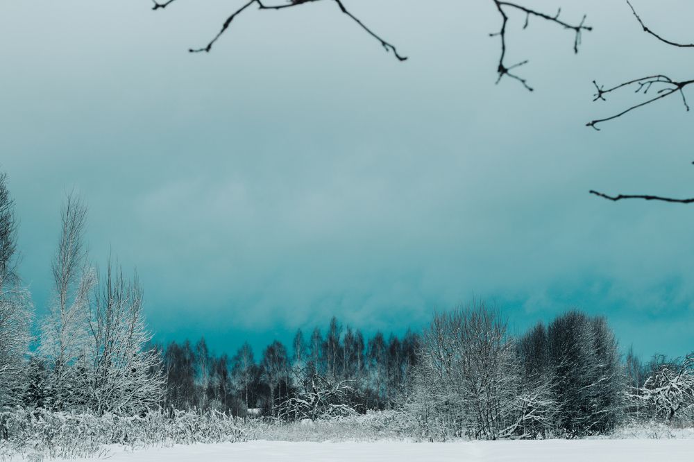 Photograph by Яна Котлярова