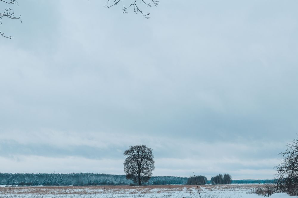 Photograph by Яна Котлярова