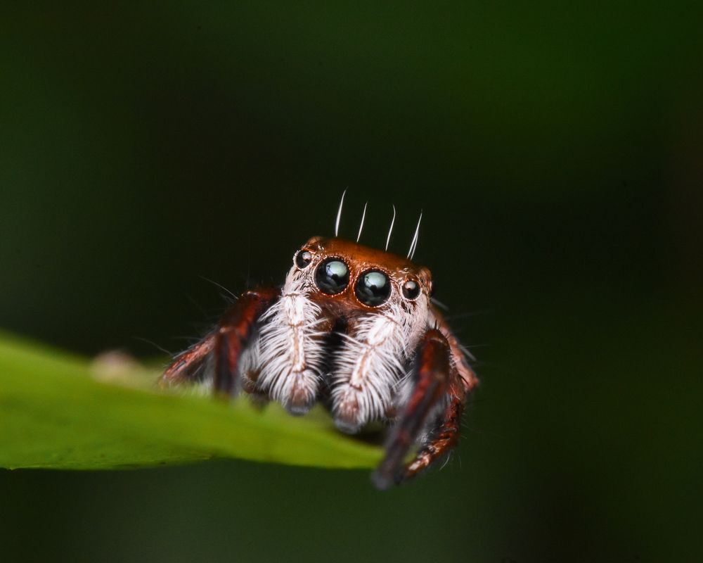 Photograph by Parvathy