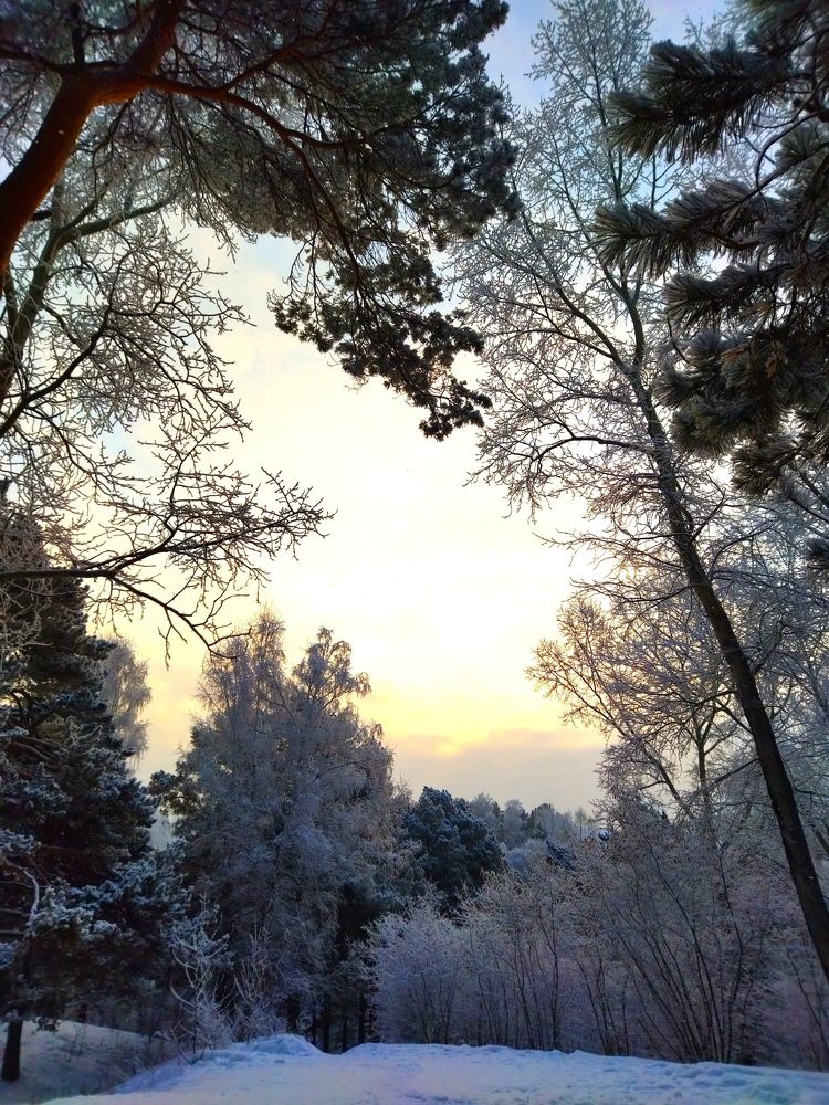 Photograph by Екатерина Лакутина