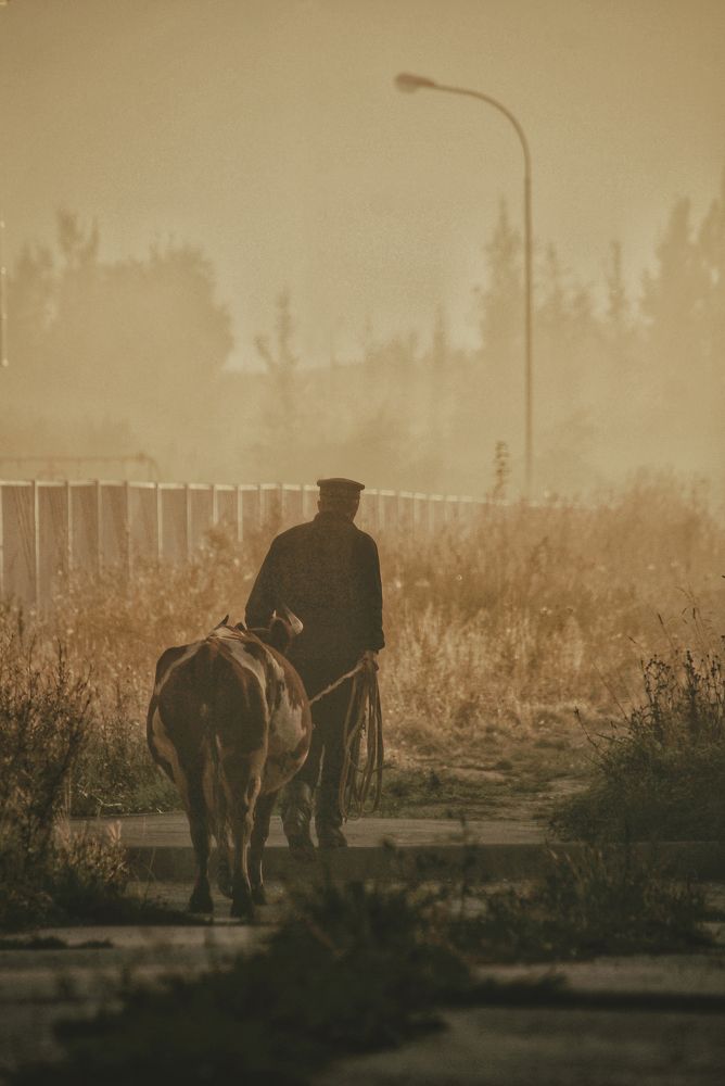 Photograph by Никита Брутман Broutman