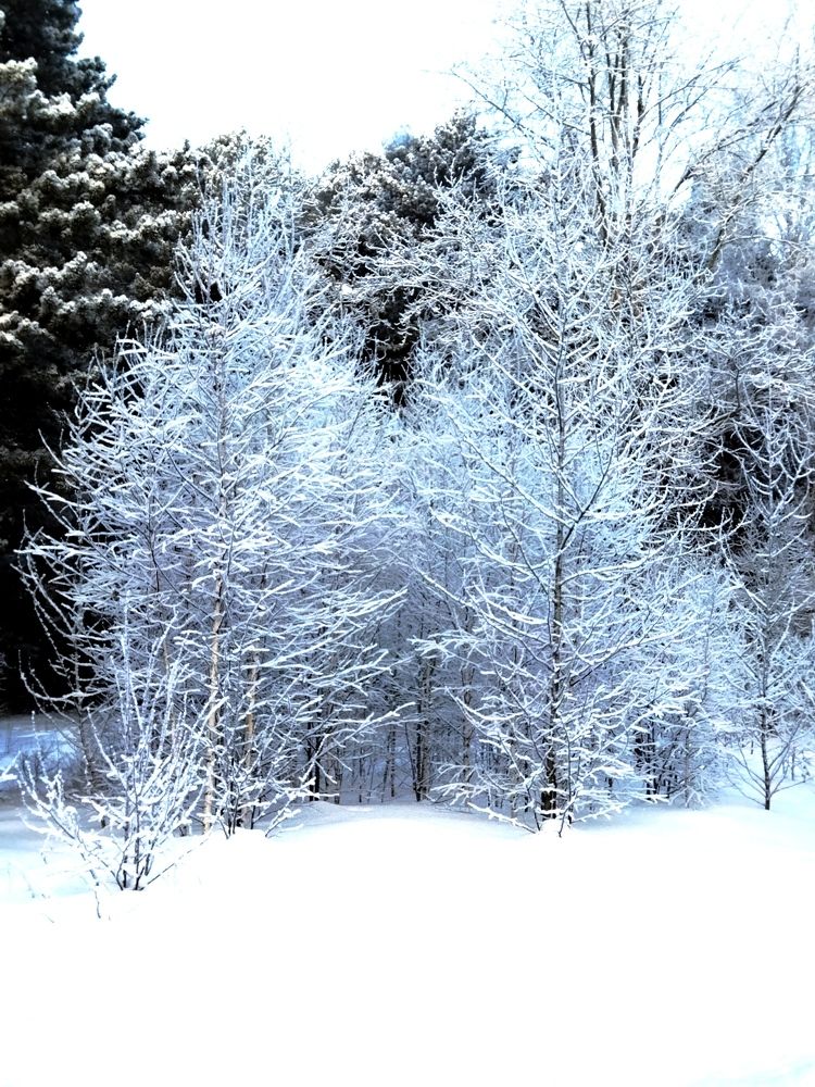Photograph by Екатерина Лакутина