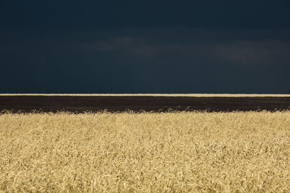 Все оттенки чёрного