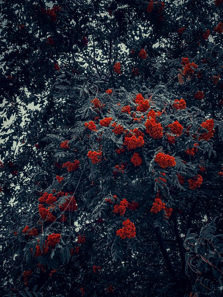 Photograph by Алексей Макаров