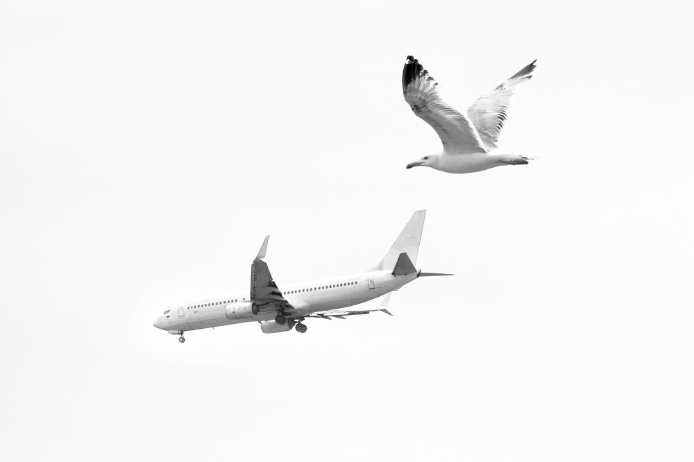 Photograph by Сергей Пюннинен