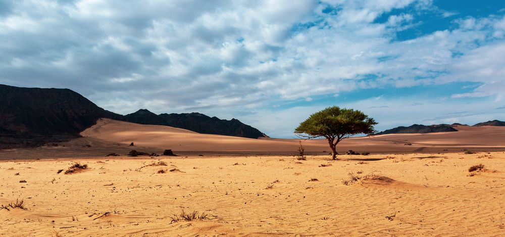 Photograph by Ali Alqassab