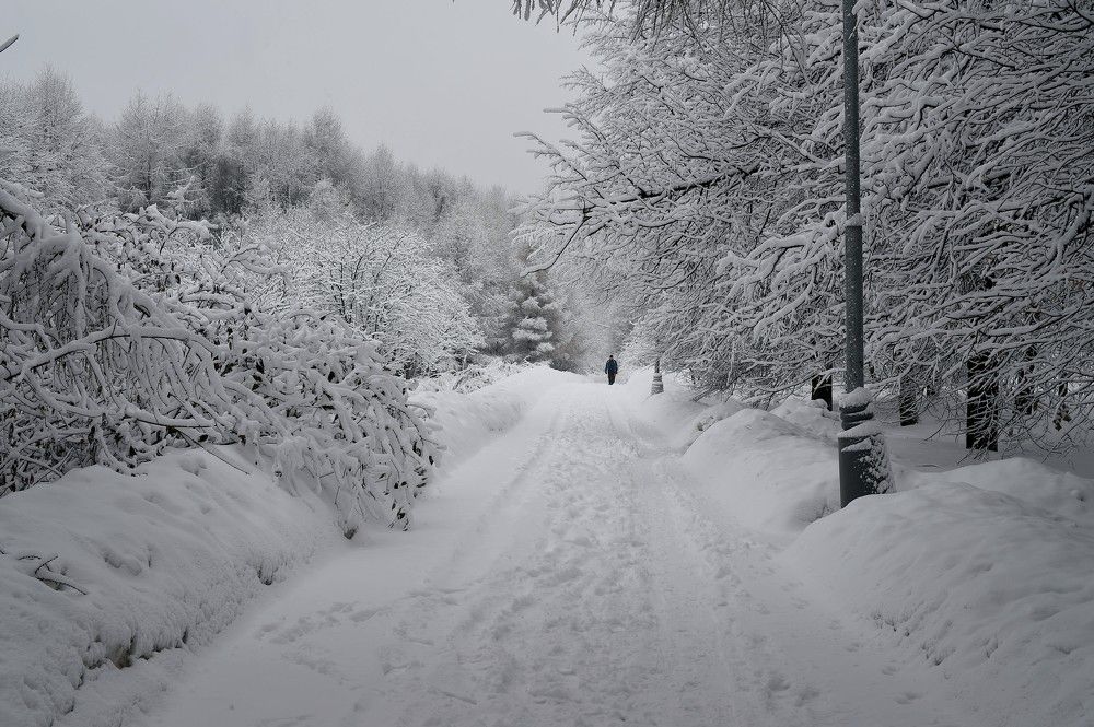 Photograph by Михаил Гущин