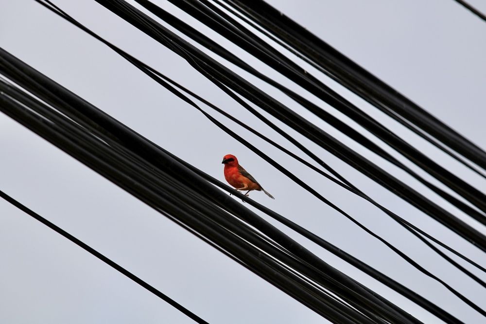 Photograph by Елена Ковалева