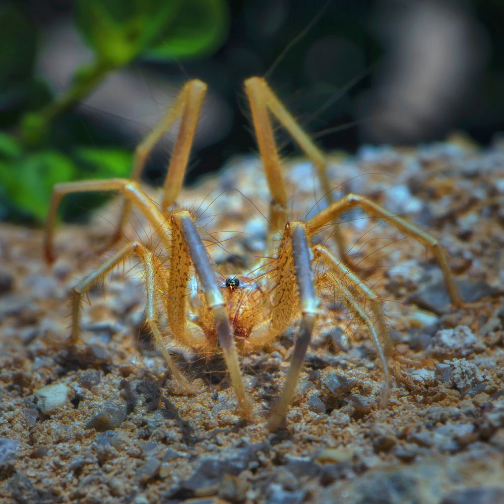 Photograph by Евгений Шварцман