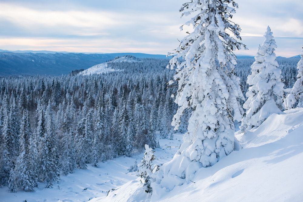 Фотография автора Сергей Сынтин
