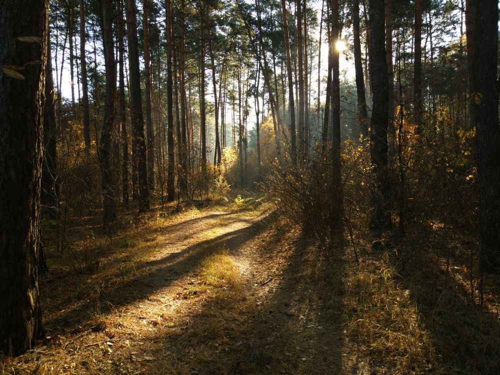Photograph by Богдан
