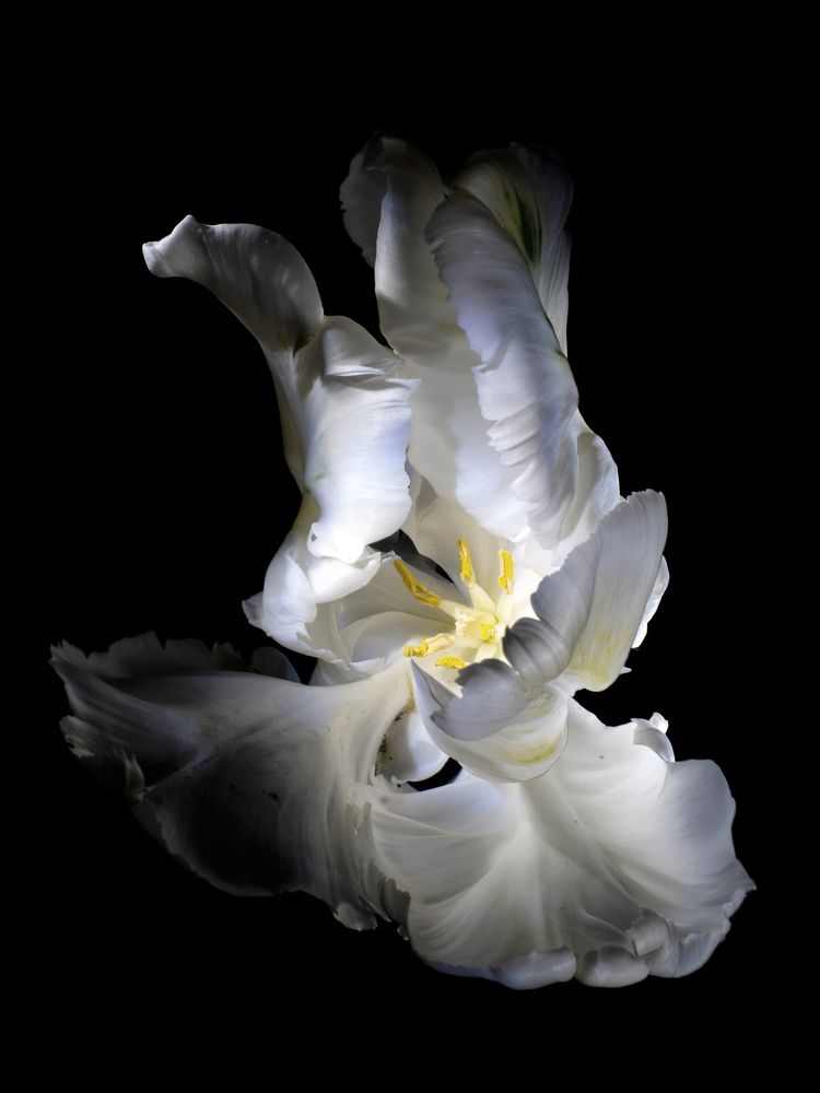 Photograph by Дмитрий Морозов