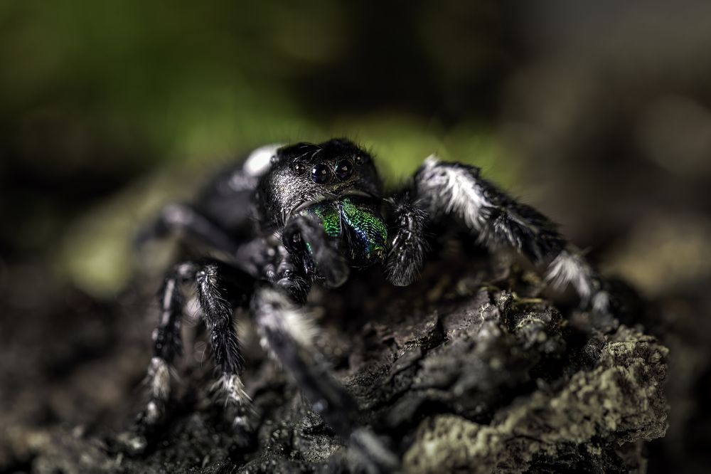 Photograph by Армен Майтесян