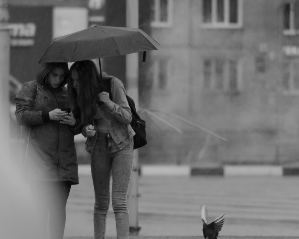 Фотография автора Виталий Гавронский