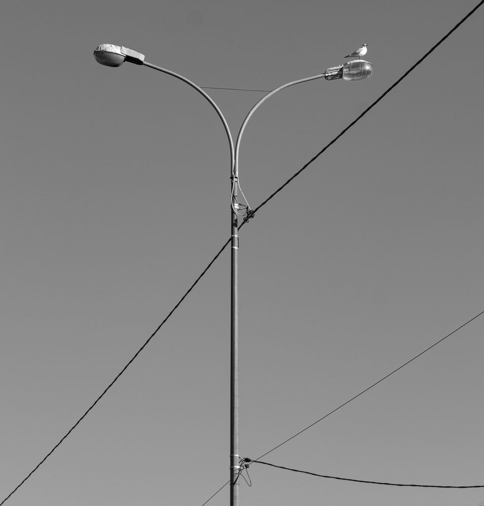 Photograph by Воронова Валерия