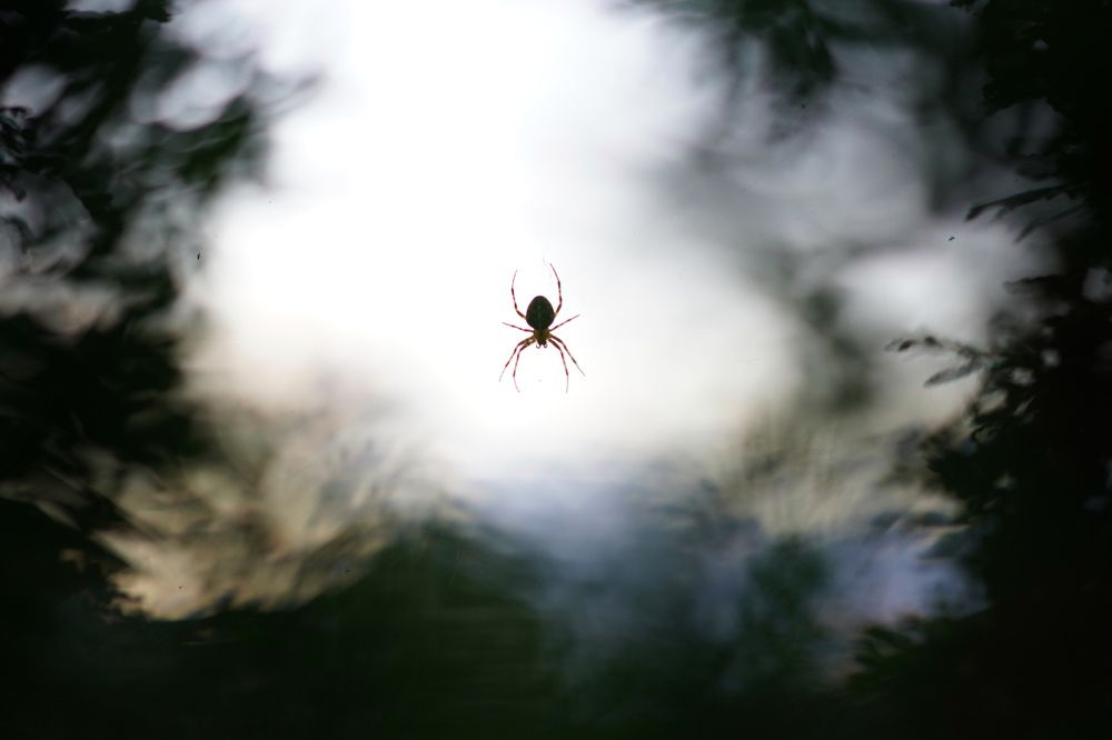 Photograph by Александра Норвилас