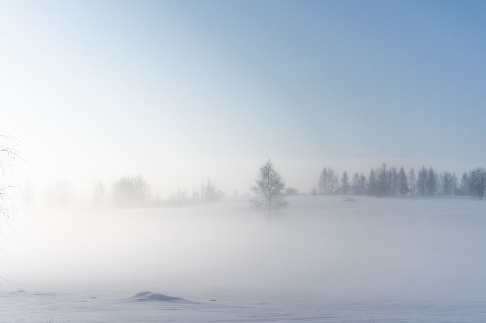 Photograph by Александра Норвилас
