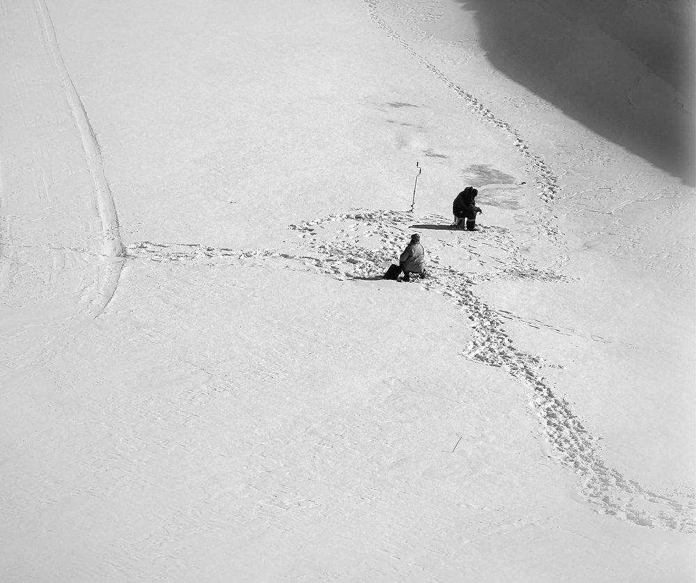 Охота пуще неволи