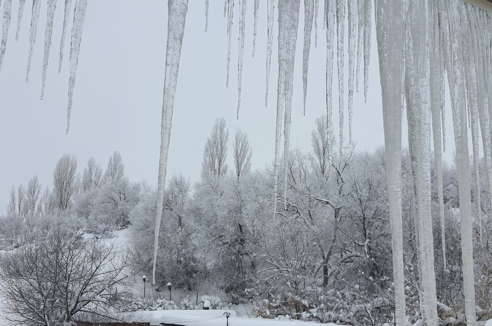 Монохром