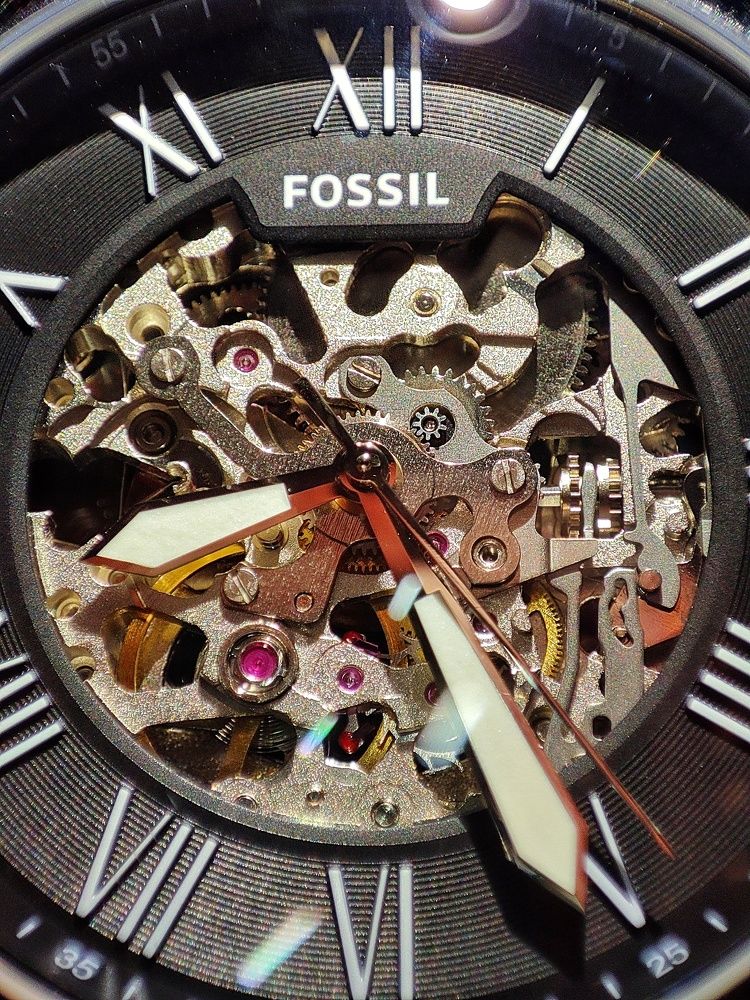 Fossil Watch