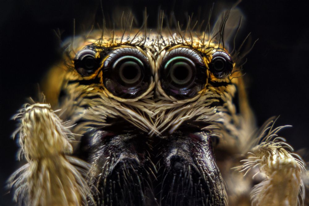 Photograph by Сергей Жуковский