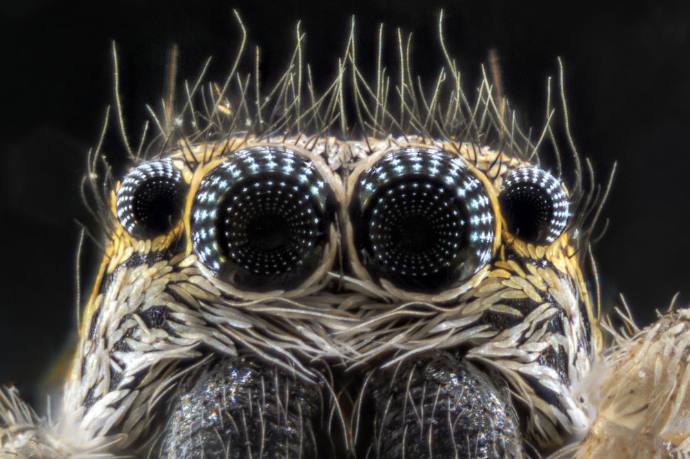 Photograph by Сергей Жуковский