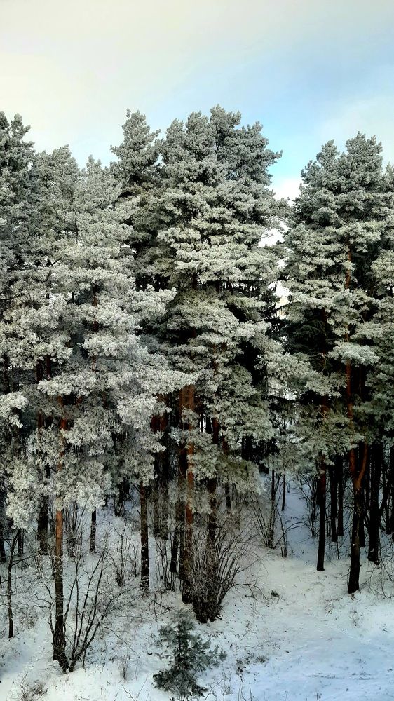 Photograph by Katsiaryna Feaktsistava