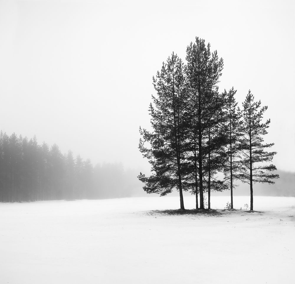 Фотография автора Евгений Кузнецов