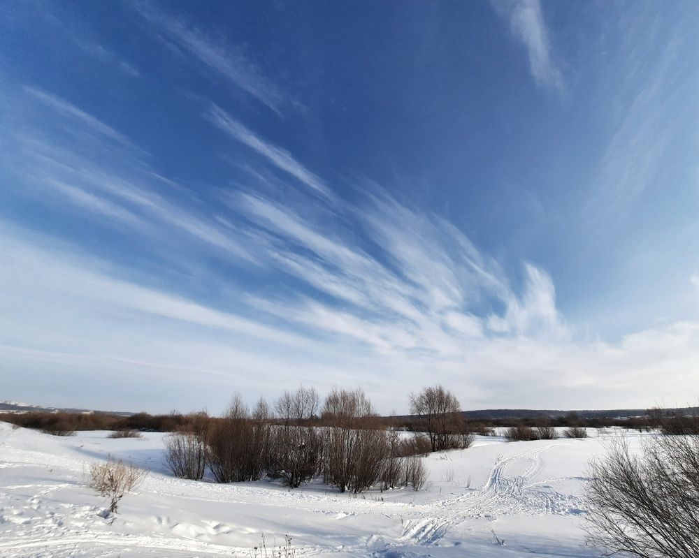 Фотография автора Olga Kunakova