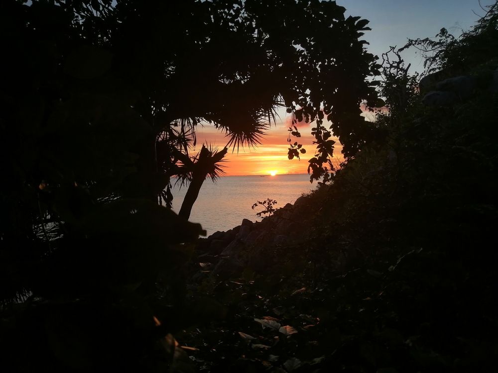 Photo #7139707