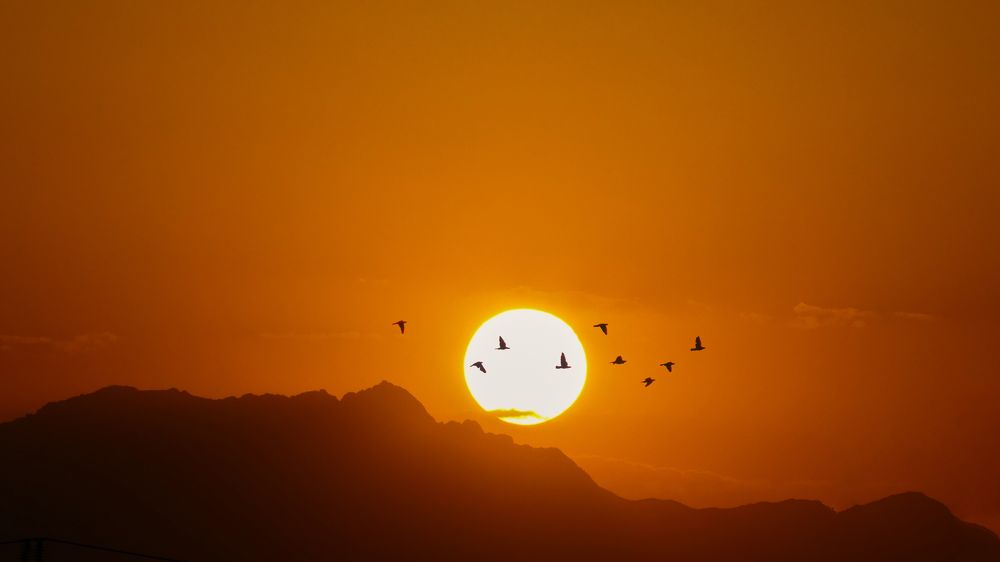 Photograph by ali bakhshi