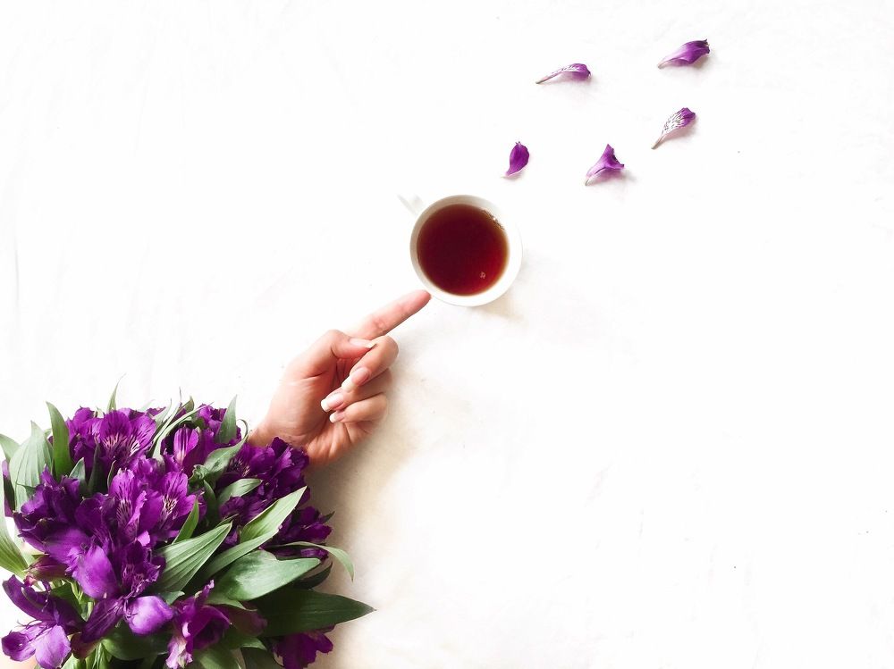 Photograph by najmeh hakimaei