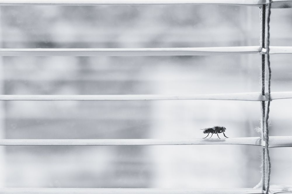 Photograph by Spasskova Tatiana