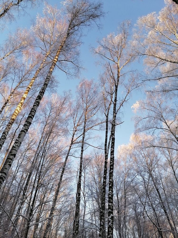 Photo #7139761