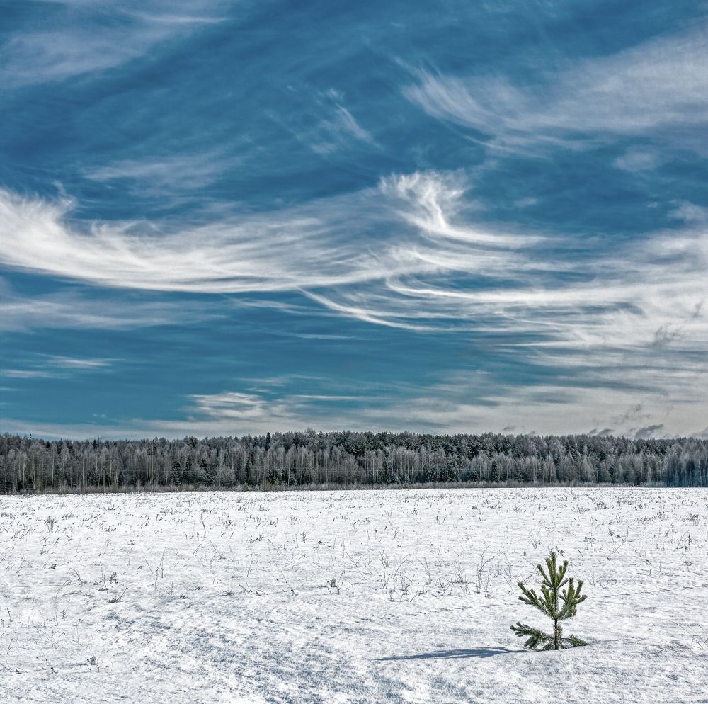 Фотография автора Александр Сальников