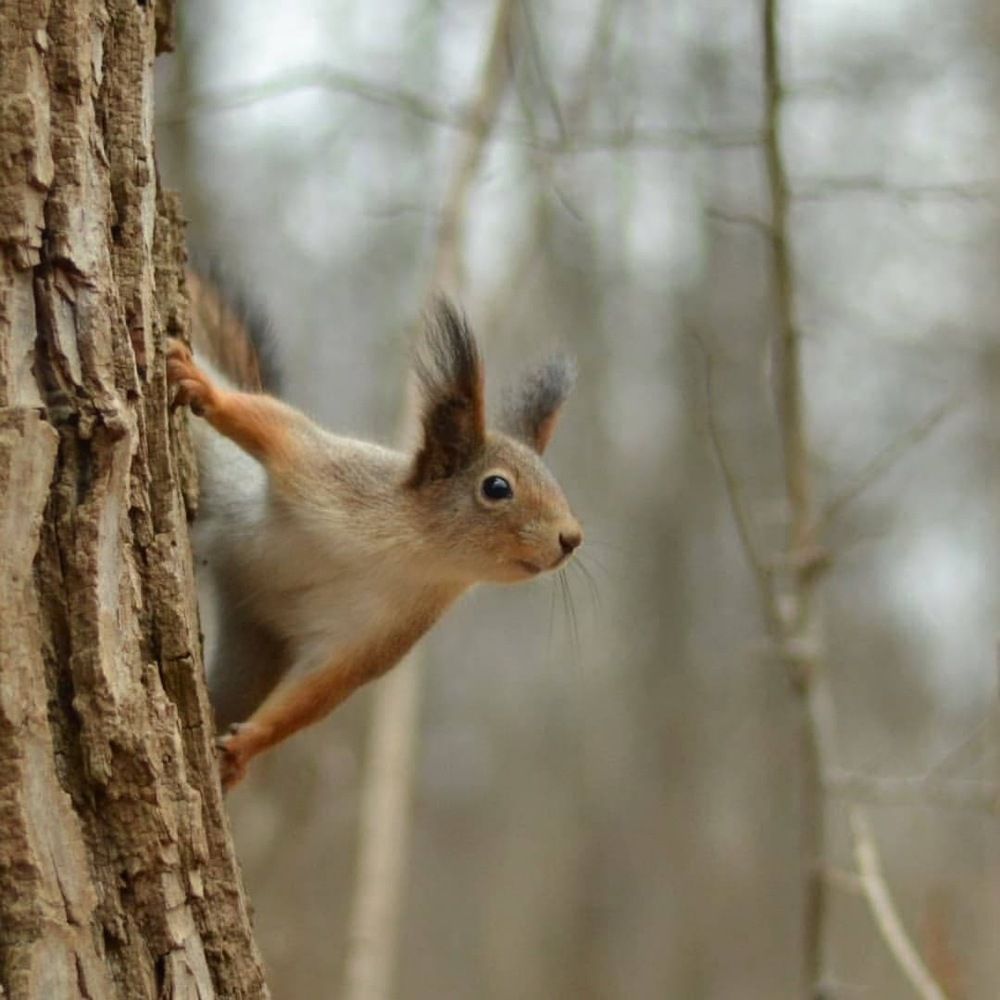 Photograph by Тихон Петров